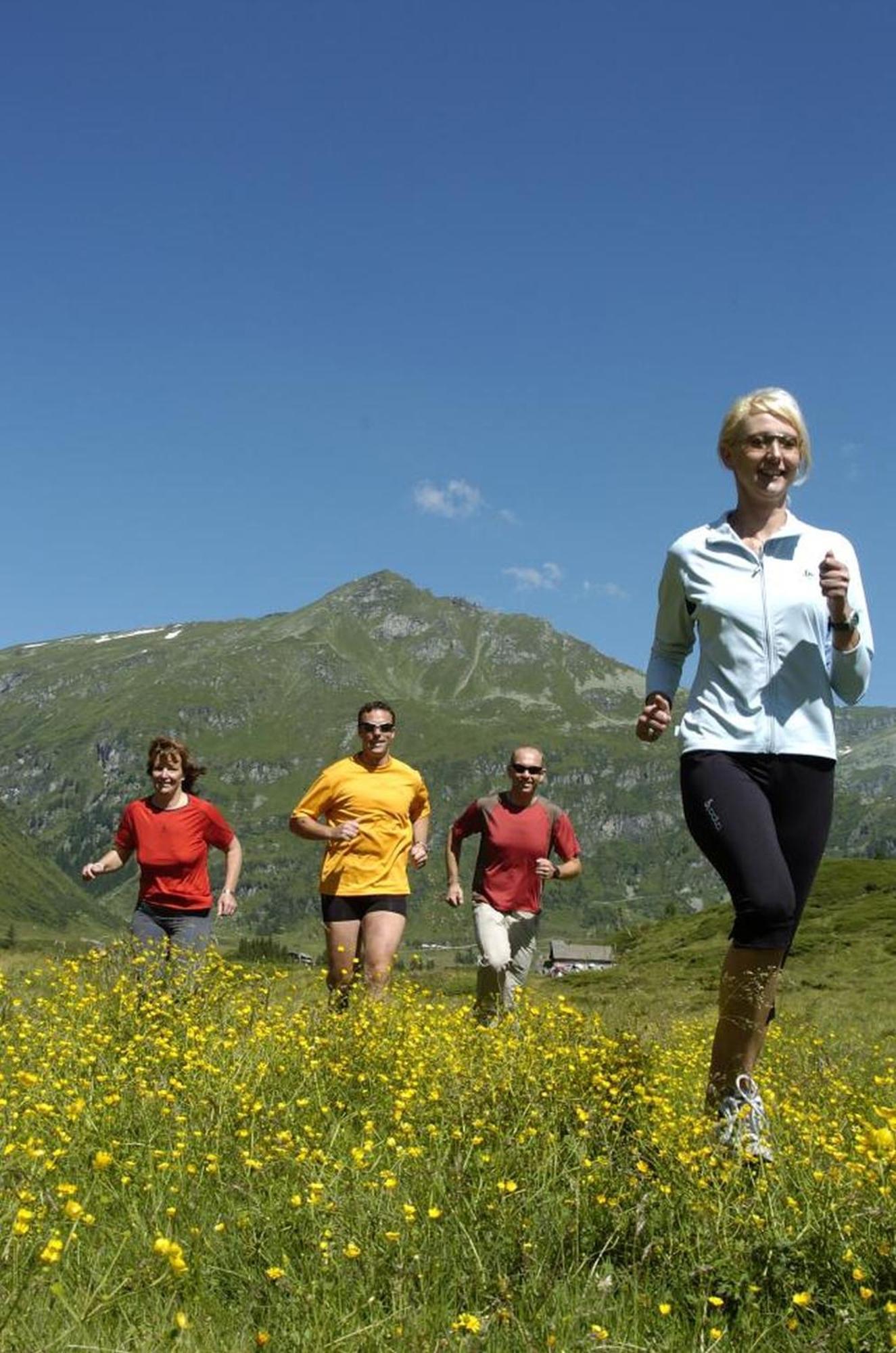 Ferienhaus Schiwiese Mit Freiem Eintritt In Die Alpentherme & Freie Nutzung Der Gasteiner Bergbahnen Im Sommer 2025 Bad Hofgastein Buitenkant foto